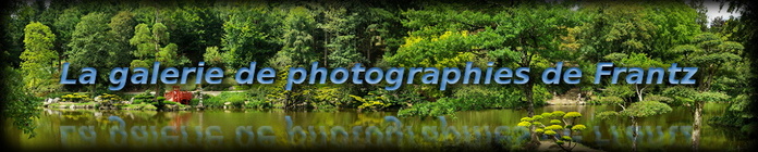 la galerie de photographies de Frantz